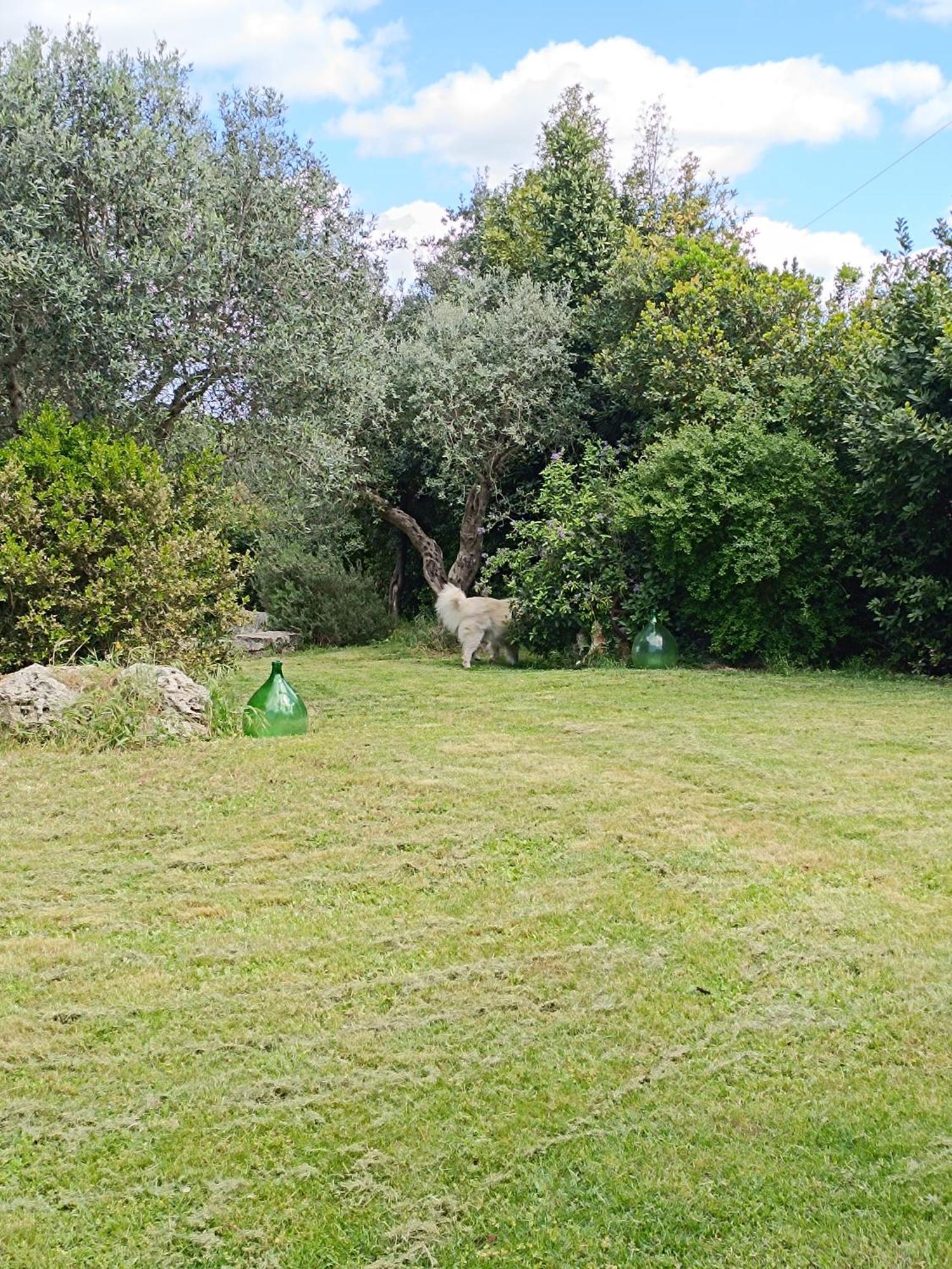 Trullo Galeotto Villa Martina Franca Bagian luar foto